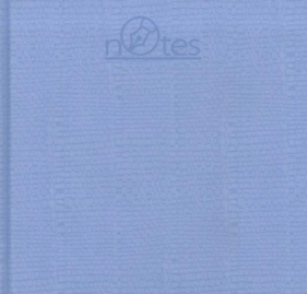Notes TRIO-2 (NT-10) błękitny
