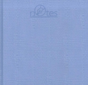 Notes TRIO-2 (NT-10) błękitny