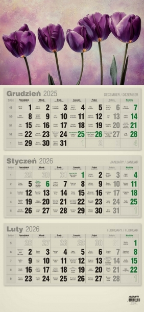 Kalendarz 2026 trójdzielny płaski EKO, 1 szt