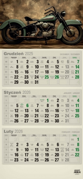 Kalendarz 2026 trójdzielny płaski EKO, 1 szt
