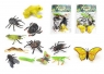 Zwierzęta pająki i insekty