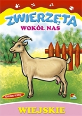 ZWIERZĘTA WOKÓŁ NAS