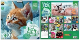 Kalendarz 2026 ścienny Classic Koty