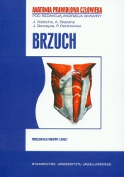 APC Brzuch - <br />