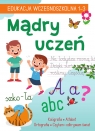 Mądry uczeń. EDUKACJA WCZESNOSZKOLNA 1-3