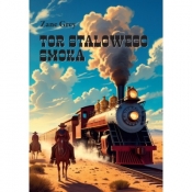 Tor Stalowego Smoka - Grey Zane