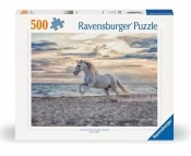 Puzzle 2D: Galop na plaży, 500 el.