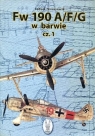 Fw 190 A/F/G w barwie część 1