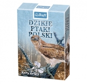Dzikie Ptaki Polski