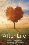 AFTER LIFE A Soul's Journey of Life, Death and Beyond Swinney Claire