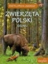 Zwierzęta Polski Ssaki Zarych Elżbieta