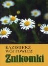 Znikomki Kazimierz Wójtowicz