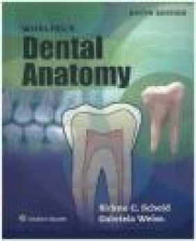 Woelfels Dental Anatomy Gabriela Weiss, Rickne Scheid