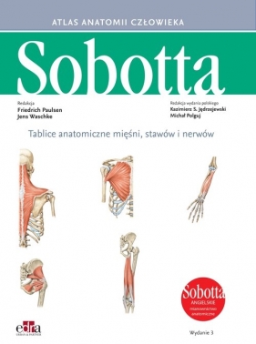 Tablice anatomiczne mięśni, stawów i nerwów. Angielskie mianownictwo - Friedrich Paulsen, Jens Waschke