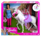 Lalka Barbie Brunetka z koniem (HCJ53)