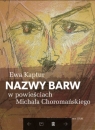 Nazwy barw w powieściach Michała Choromańskiego