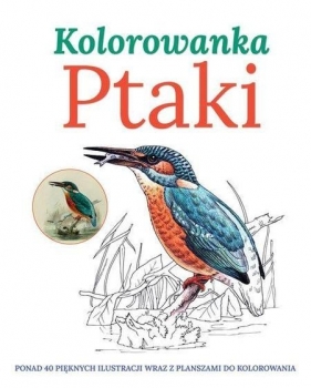 Ptaki Kolorowanka - <br />