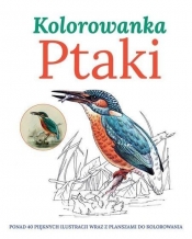 Ptaki Kolorowanka - <br />