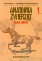 Anatomia zwierząt Tom 1 Aparat ruchowy - Kazimierz Krysiak, Henryk Kobryń, Franciszek Kobryńczuk