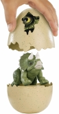 Jajkozaury: Wykluwający się dinozaur - Triceratops (FMB91/FMB94)