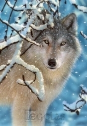 Puzzle 260 Broken Silence CASTOR (27224)