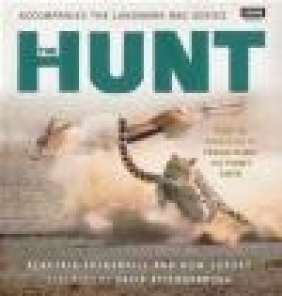 The Hunt Huw Cordey, Alastair Fothergill