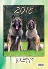 Kalendarz 2022 Wieloplanszowy Psy BESKIDY mix wzorów