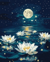 Malowanie po numerach - Lotos pod poświatą 40x50cm