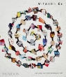 Vitamin C+ Phaidon Editors