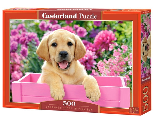 Puzzle 500: Labrador Puppy in Pink Box (52226)