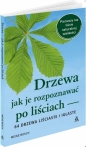 Drzewa jak je rozpoznawać po liściach - Meike Bosch