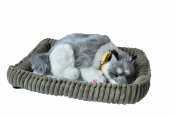 Śpiący pies na poduszce - Husky (107226)