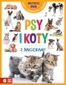 Wszystko wiem! Psy i koty Opracowanie zbiorowe