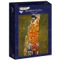 Bluebird Puzzle 1000: Nadzieja, Gustav Klimt 1908 (60022)