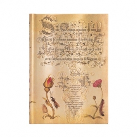 Notes Flemish Rose Midi linia