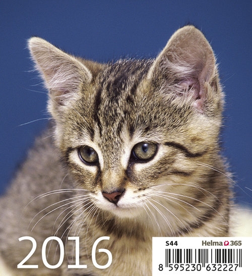 Kalendarz 2016 Kociaki Mini