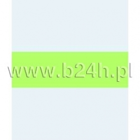 Karton Iris 70x100 240g.pistacjowy 27 200040466