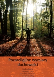 Pozareligijne wymiary duchowości - <br />