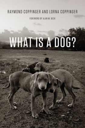 What Is a Dog? - Coppinger Raymond, Coppinger Lorna