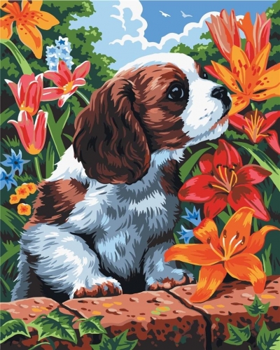 Malowanie po numerach - Pies w kwiatach 40x50cm