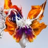 Epic (Blu-ray/ CD)