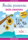 Zeszyt do ćwiczeń. Nauka pisania. Duża liniatura Beata Guzowska