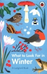 What to Look For in Winter Elizabeth Jenner