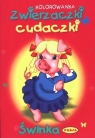 Świnka Zwierzaczki cudaczki