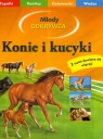 Konie i kucyki