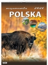  Kalendarz 2026 wieloplanszowy niesamowita Polska