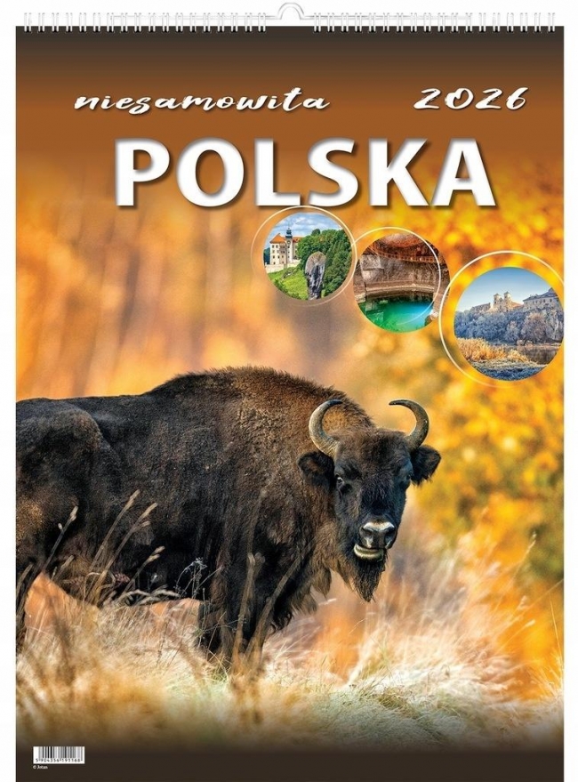 <img src='https://webimage.pl/pics/229/1/d5901421111229.jpg' style='height:440px' /> Kalendarz 2026 wieloplanszowy niesamowita Polska