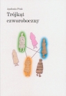 Trójkąt czworoboczny