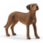 Schleich Farm World, Pies rasy rhodesian ridgeback (SLH13895)