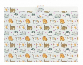 Teczka harmonijkowa A4 PP nadruk - kittens